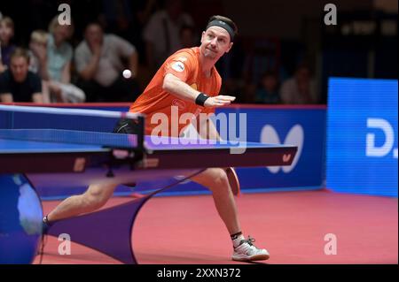 TTBL Borussia Düsseldorf - ASC Grünwettersbach am 25.08.2024 im ARAG CenterCourt in Düsseldorf Timo Boll ( Düsseldorf ) Foto: Revierfoto Credit: ddp Media GmbH/Alamy Live News Stockfoto