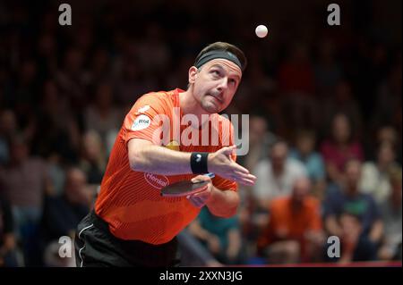 TTBL Borussia Düsseldorf - ASC Grünwettersbach am 25.08.2024 im ARAG CenterCourt in Düsseldorf Timo Boll ( Düsseldorf ) Foto: Revierfoto Credit: ddp Media GmbH/Alamy Live News Stockfoto