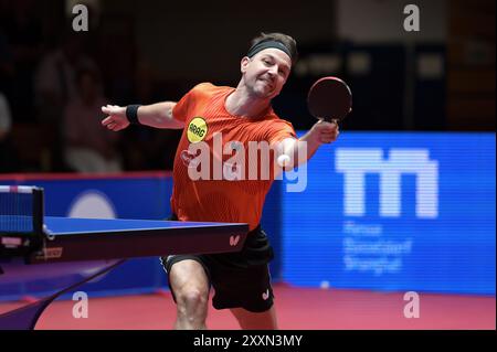 TTBL Borussia Düsseldorf - ASC Grünwettersbach am 25.08.2024 im ARAG CenterCourt in Düsseldorf Timo Boll ( Düsseldorf ) Foto: Revierfoto Credit: ddp Media GmbH/Alamy Live News Stockfoto