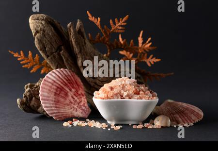 Rosafarbenes himalaya-Salz mit Schlingen, Thuja-Zweigen und Muscheln. Himalaya-Salz in weißer Schüssel auf schwarzem Hintergrund. Kopierbereich. Stockfoto