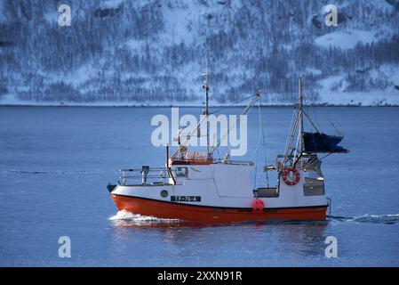 Øksfjord, Norwegen - 21. März 2024: Kleines norwegisches Handelsschiff, das während der Kabeljausaison von Skrei vom Meer aus in den Hafen von Øksfjord zurückkehrt. Stockfoto