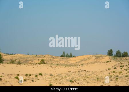 Eine sandige, unbefestigte Straße schlängelt sich durch eine Wüstenlandschaft, umgeben von karger Vegetation und verstreuten Bäumen unter einem trüben Himmel. Die Straße führt weiter in die Ferne Stockfoto