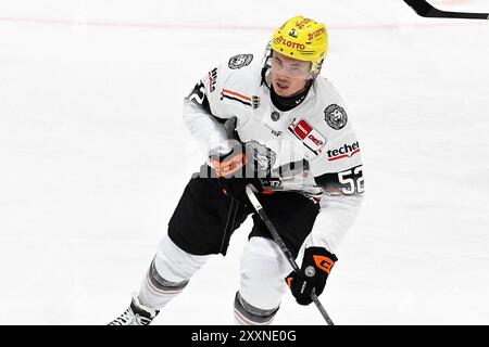 Eishockey DEL 24/25: Testspiel Kölner Haie vs Löwen Frankfurt im Haie-Zentrum in Köln am 25.8.2024 Frankfurts Maksim Matushkin (Nr.52) Foto: Osnapix Stockfoto