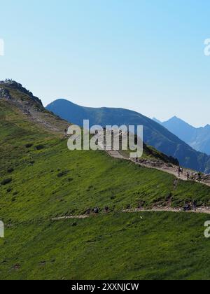 Tatra, Polen - 27. Juli 2024: Eine Gruppe von Wanderern, die auf einem Bergweg wandern, der sich durch grüne Hänge schlängelt und die weite Aussicht A genießen Stockfoto