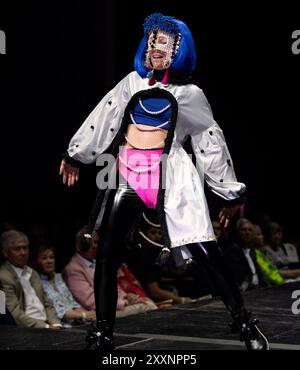 24. August 2024 – Dunedin, Florida, USA – Models laufen während der Wearable Art 18 Fashion Show im Dunedin Fine Art Center auf dem Laufsteg. (Kreditbild: © Brian Cahn/ZUMA Press Wire) NUR REDAKTIONELLE VERWENDUNG! Nicht für kommerzielle ZWECKE! Stockfoto