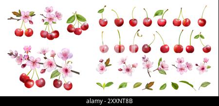 Kirschzweig. Obstbeere. Rosa Blüte für Vintage Tee Hintergrund. Frühlingsblume. Geburtstagslimonade. Essen und Saft. Natürlicher Zweig mit Blättern und Blüten. Gartenpflanze. Set mit Vektor-Blumenelementen Stock Vektor