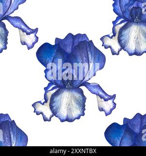 Blumenblau der Iris. Aquarell handgezeichnete botanische Illustration von Blumen. Nahtloses Muster Stockfoto