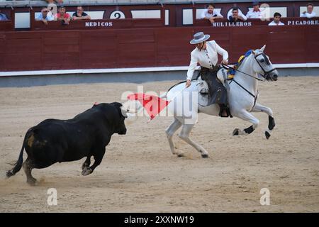 Madrid, Spanien. August 2024. Der Rejoneador Sergio Domínguez bekämpft den Stier während einer Corrida de Rejones in der Stierkampfarena Las Ventas in Madrid, 25. August 2024 Spanien (Foto: Oscar Gonzalez/SIPA USA) Credit: SIPA USA/Alamy Live News Stockfoto