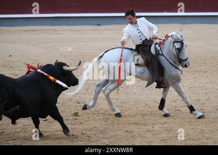 Madrid, Spanien. August 2024. Der Rejoneador Sergio Domínguez bekämpft den Stier während einer Corrida de Rejones in der Stierkampfarena Las Ventas in Madrid, 25. August 2024 Spanien (Foto: Oscar Gonzalez/SIPA USA) Credit: SIPA USA/Alamy Live News Stockfoto