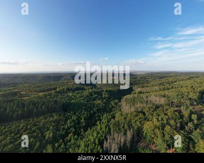 Das Selketal zwischen Meisdorf und Mägdesprung Naturlandschaft Selketalstieg Stockfoto