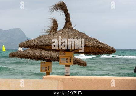 Sonnenschirme in Can Picafort Mallorca. Stockfoto