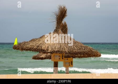 Sonnenschirme in Can Picafort Mallorca. Stockfoto