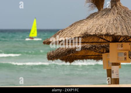 Sonnenschirme in Can Picafort Mallorca. Stockfoto