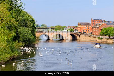 Blick entlang des Flusses Severn zur Wards Worcester Bridge in Worcester, einer Kathedralstadt und Kreisstadt von Worcestershire, West Midlands, England Stockfoto