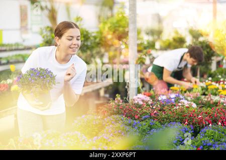 Inspirierte junge Kundin in Freizeitkleidung, die beim Einkaufen im Gartencenter Topfblumen von Lobelia Erinus untersuchte Stockfoto