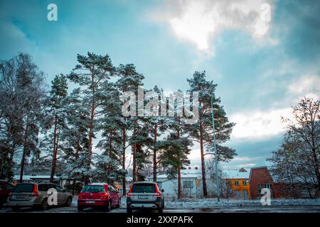 Winterbäume auf dem Parkplatz in Hassleholm, Schweden Stockfoto