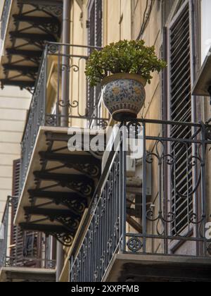 Nahaufnahme eines Balkons mit Geländer und Topfpflanzen, seitliche Perspektive, palermo, sizilien, mittelmeer, Italien Stockfoto