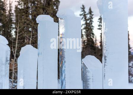 Wunderschöne, von Menschenhand gefertigte Eisskulpturen mit Hintergrund von borealen Wäldern im Norden Kanadas, Yukon Territory Stockfoto