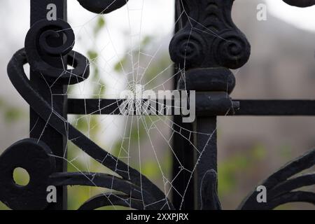 Spinnennetz mit Raureif auf einem alten Eisenzaun Stockfoto