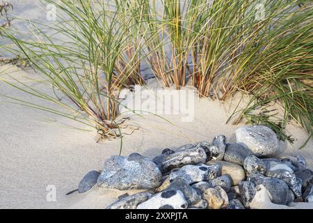 Ostseeküste bei Klintholm Havn in Dänemark Stockfoto