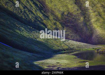 Grüne Berghänge mit einem Fluss am Boden in Landmannalaugar, Island, Europa Stockfoto