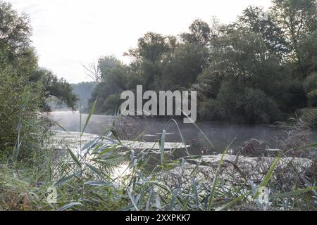 Isar altes Wasser, Isar Rückwasser Stockfoto