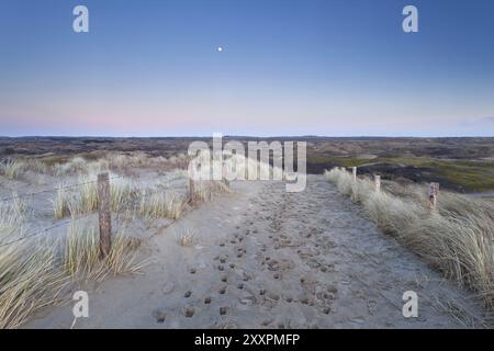 Vollmond über Sandweg in Dünen, Nordholland, Niederlande Stockfoto