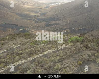 Blick auf ein weites Tal mit verstreuter Vegetation und schwach sichtbaren Pfaden, lanzarote, Kanarische Inseln, Spanien, Europa Stockfoto