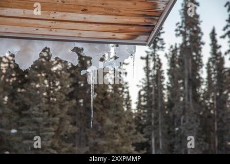 Hängende lange Eiszapfen auf der Seite einer atemberaubenden Blockhütte, Haus, Hausgebäude mit scharfen Kanten im Winter. Stockfoto