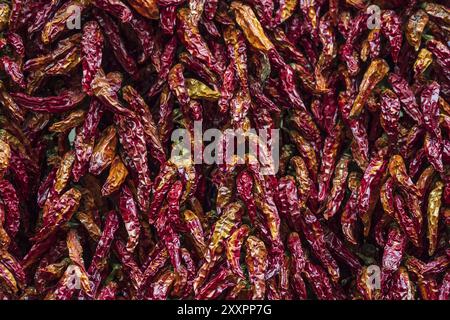 Getrocknete Paprika auf einem Markt in Funchal auf Madeira, Portugal, Europa Stockfoto