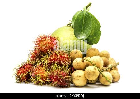 Frische tropische süße Früchte, Rambutan, longkongs und pomeo auf weißem Hintergrund Stockfoto