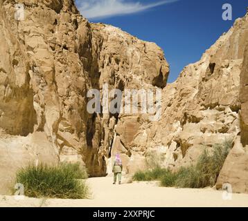 Beduinen in weiß gehen in den Canyon in der Wüste zwischen den Felsen Stockfoto