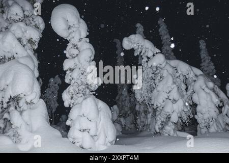 Schneefall in einer schneebedeckten Landschaft, Muddus-Nationalpark, Laponia-Weltkulturerbe, Norrbotten, Lappland, Schweden, Dezember 2012, Europa Stockfoto