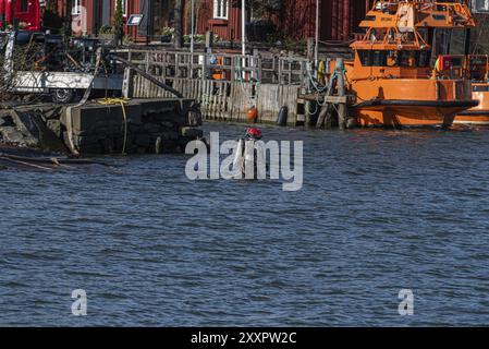 Technischer Taucher waten an einem Dock ins Wasser Stockfoto