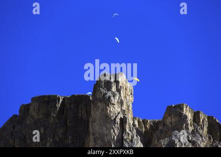 Drachenfliegen am Pian Schiavaneis Stockfoto