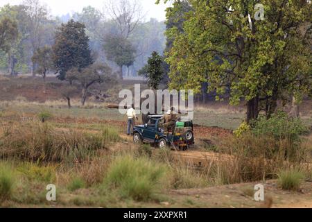 Der arbeitende Elefant im Kanha-Nationalpark in Indien Stockfoto