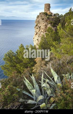 Blick auf den Wachturm Torre del Verger Banyalbufar Mallorca Spanien Stockfoto