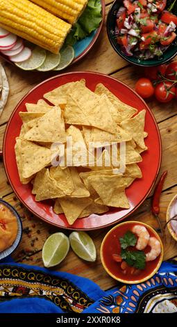 Fajitas, Weizentortillas als Taco-Wraps. Mexikanische Küche Stockfoto