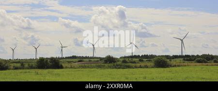 Windmühlen und grüne Wiese im Norden Dänemarks. Szene in der Nähe von Gottrup Stockfoto