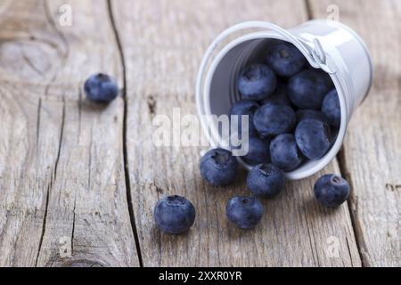 Reife Heidelbeeren in kleinen weißen Eimern auf rustikalem Holzbrett, Makro, selektiver Fokus Stockfoto