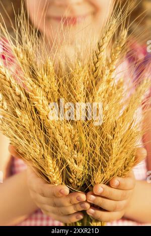 Kind, das gelbe Herbstweizenohren in der Hand hält Stockfoto