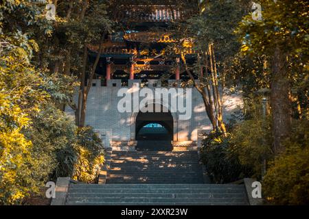 Ein traditionelles chinesisches Gebäude, eingebettet in einen üppigen Wald, mit Sonnenlicht Schatten auf dem Weg, der zu ihm führt Stockfoto