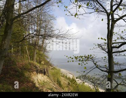 Steile Ufer auf der Insel Usedom Stockfoto