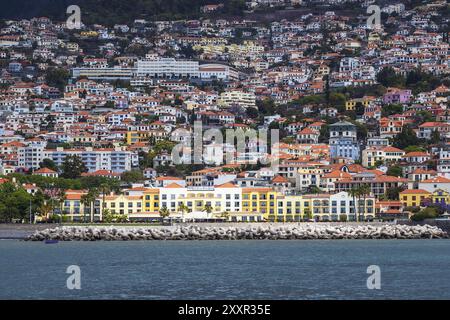 Blick auf Funchal auf der Insel Madeira, Portugal, Europa Stockfoto