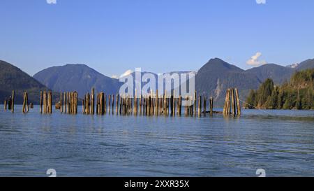 Knight Inlet in Kanada Stockfoto