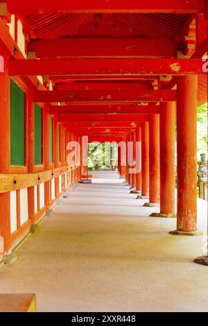 Wiederholte rote Säulen eines Korridors im Freien vor dem Shinto-Schrein Kasuga-Taisha im Todai-JI-Tempelkomplex in Nara, Japan, Asien Stockfoto