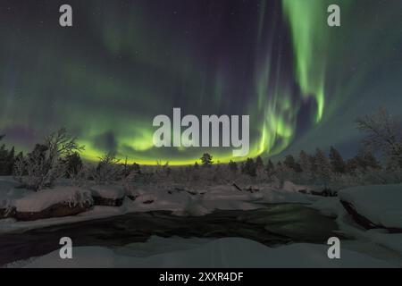 Nordlichter (Aurora borealis) über einer mondbeleuchteten Winterlandschaft, Norrbotten, Lappland, Schweden, Januar 2017, Europa Stockfoto