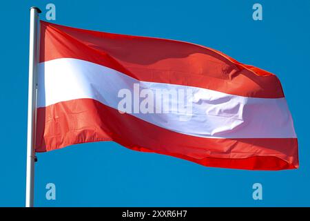 25.08.2024, Baden-Baden, Symbolbild Nationalflagge von Österreich weht im Wind Baden-Württemberg Deutschland *** 25 08 2024, Baden Baden Baden, symbolisches Bild der im Wind winkenden Nationalflagge Österreichs Baden-Württemberg Deutschland Stockfoto