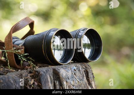 Nahaufnahme eines alten Fernglases auf einem Baumstamm, das die friedliche Waldszene reflektiert. Perfekt für Konzepte der Erkundung und des Abenteuers Stockfoto