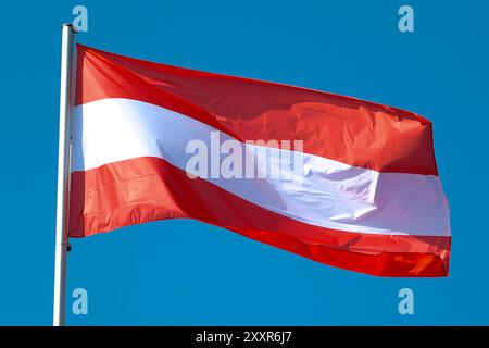 25.08.2024, Baden-Baden, Symbolbild Nationalflagge von Österreich weht im Wind Baden-Württemberg Deutschland *** 25 08 2024, Baden Baden Baden, symbolisches Bild der im Wind winkenden Nationalflagge Österreichs Baden-Württemberg Deutschland Stockfoto